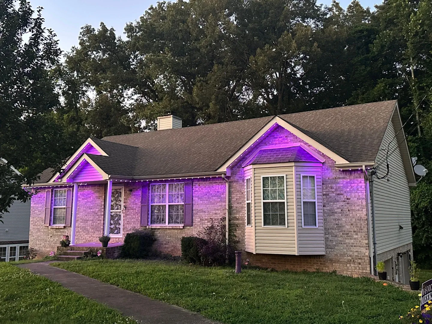 permanent lighting installs tennessee (5)